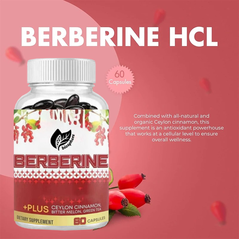 Berberine HCL 1200mg, contendo - Berberine Hcl Capsule avaliação e preço